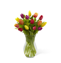 Tulip Bouquet from Clermont Florist & Wine Shop, flower shop in Clermont